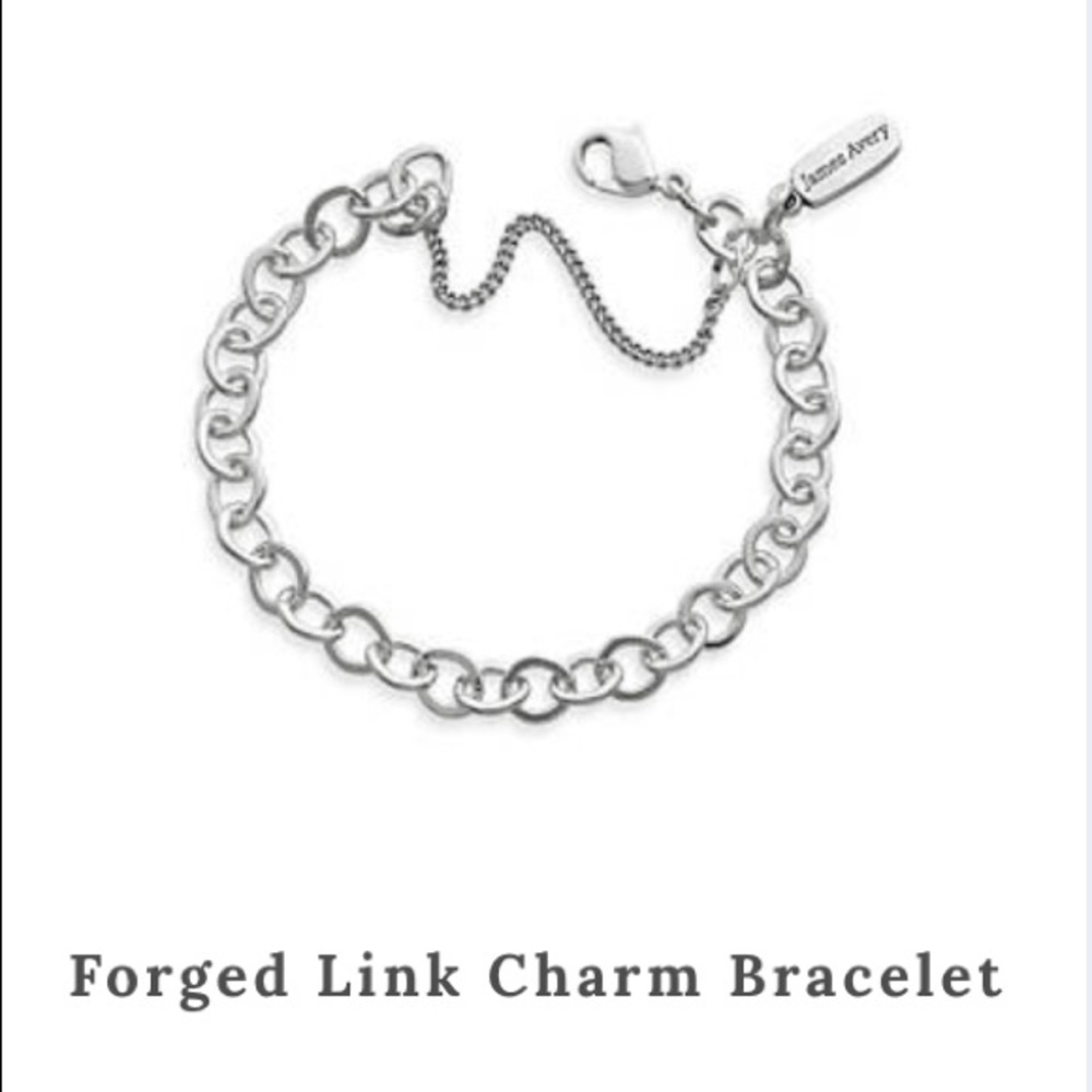 James Avery Forged Link Charm Bracelet